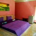 NEW SURFERS INN HOTEL LOMBOK