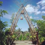 Hidden Garden Luak Coffee