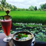 Tropical View Cafe grill and asian cuisine