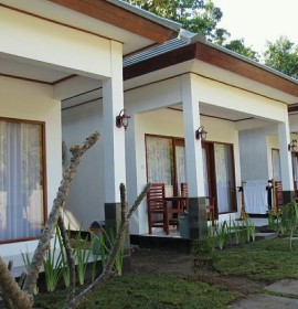 Sammy HomeStay