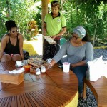 Intan Sari Luwak coffee Garden