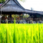 Ubud Tropical Garden